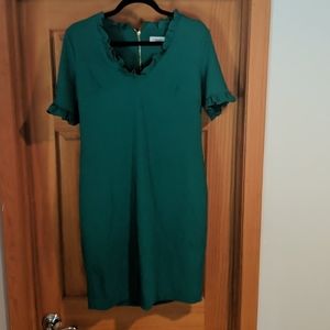 Calf length Calvin Klein dress